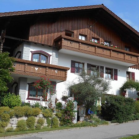 Ferienwohnung Arberblick Lam Ngoại thất bức ảnh