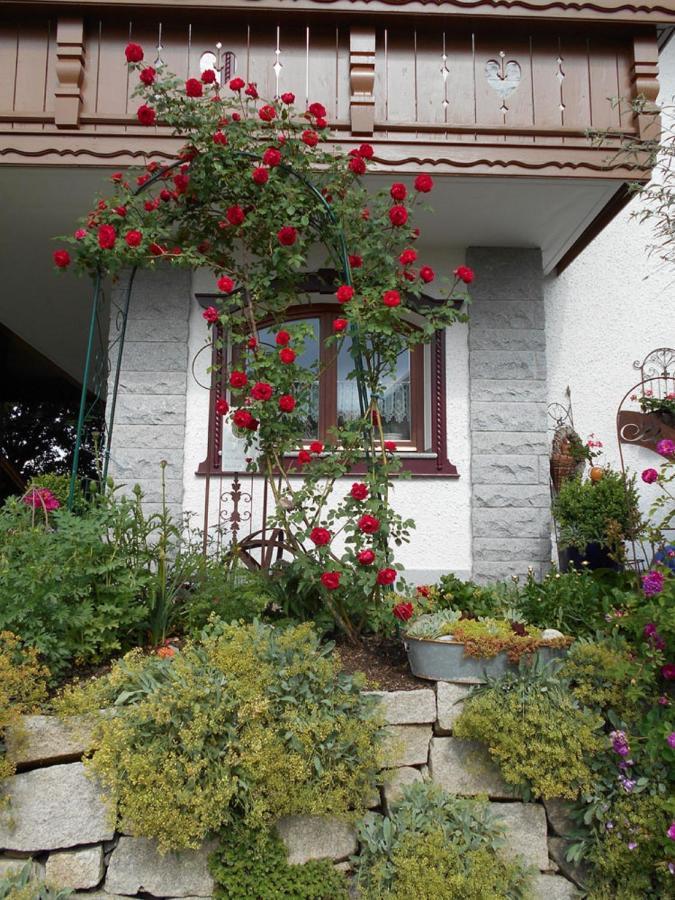 Ferienwohnung Arberblick Lam Ngoại thất bức ảnh