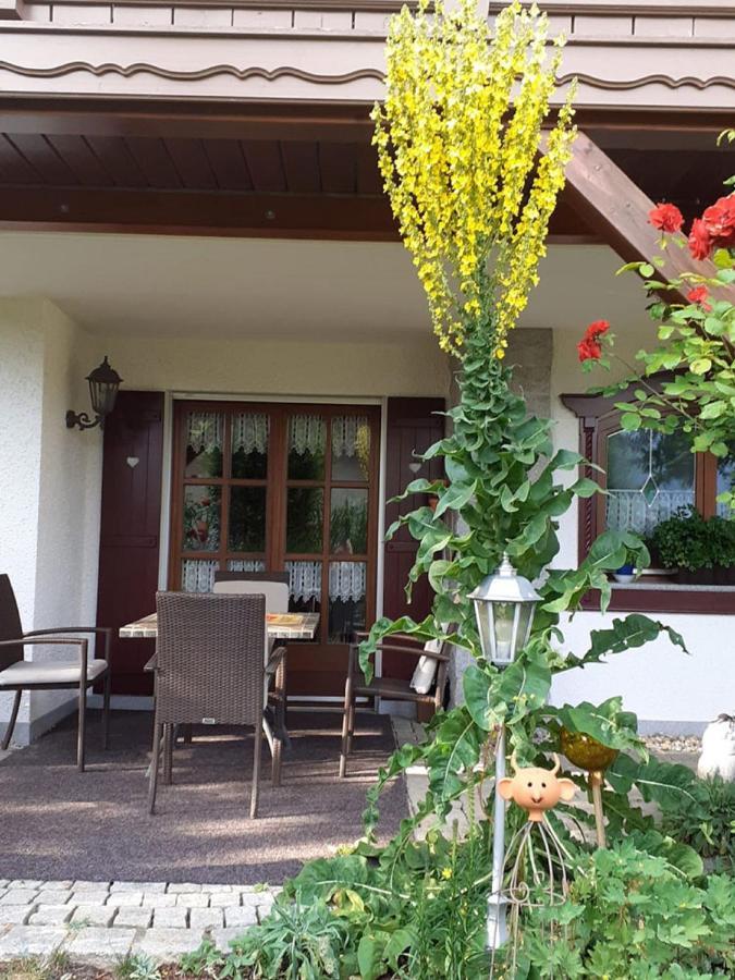 Ferienwohnung Arberblick Lam Ngoại thất bức ảnh