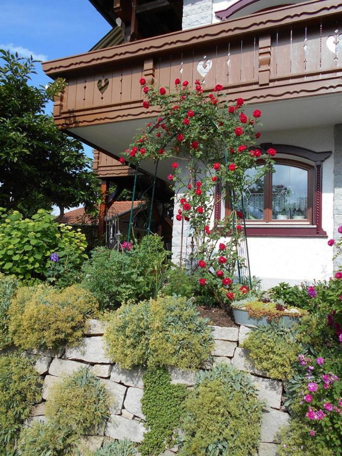 Ferienwohnung Arberblick Lam Ngoại thất bức ảnh